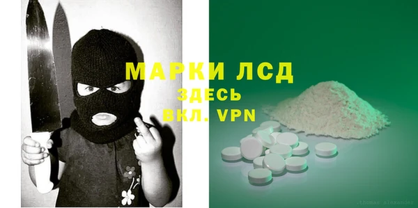 сатива Алагир