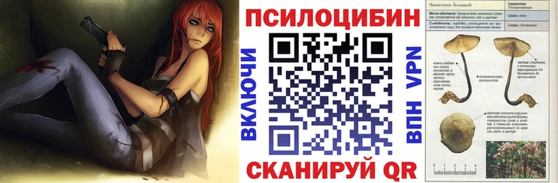 сайты даркнета клад  Берёзовский  Псилоцибиновые грибы прущие грибы  как найти закладки 
